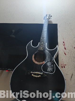 Guitar